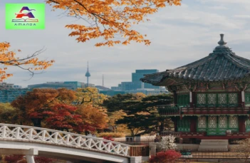 10 Ngữ Pháp Tiếng Hàn Căn Bản Bạn Cần Nắm Vững